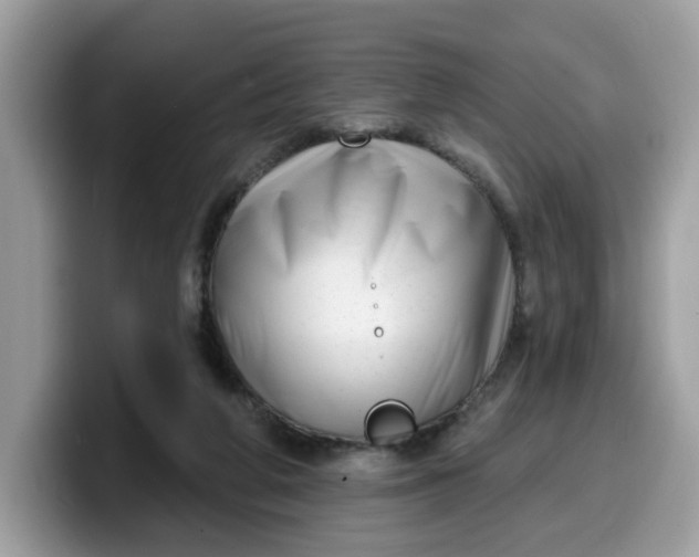 X0000099580210200805301606