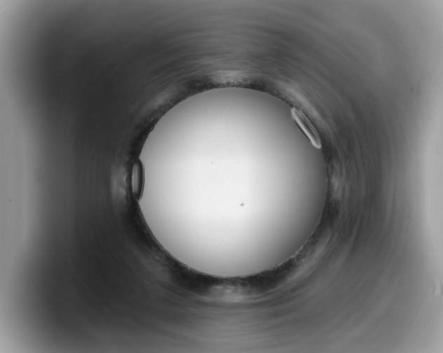 X0000099580211200805301606