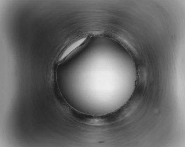 X0000099580212200805301606