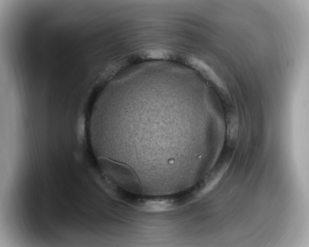 X0000099580213200805301606