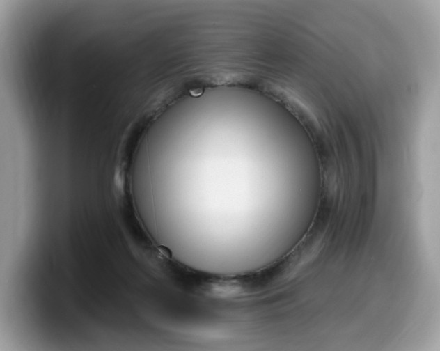 X0000099580214200805301606