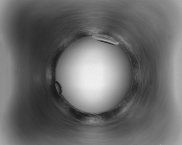 X0000099580215200805301606