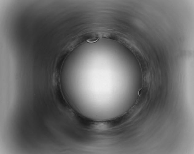 X0000099580218200805301606