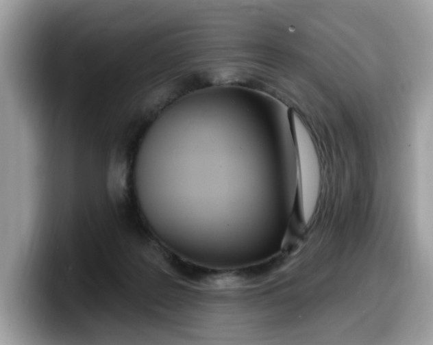 X0000099580219200805301606