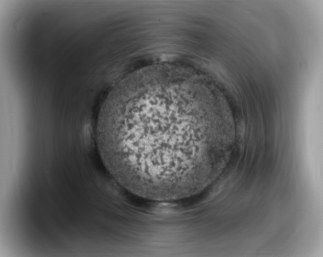 X0000099580222200805301606