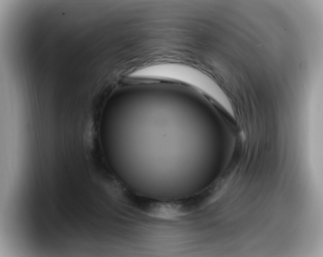 X0000099580223200805301606