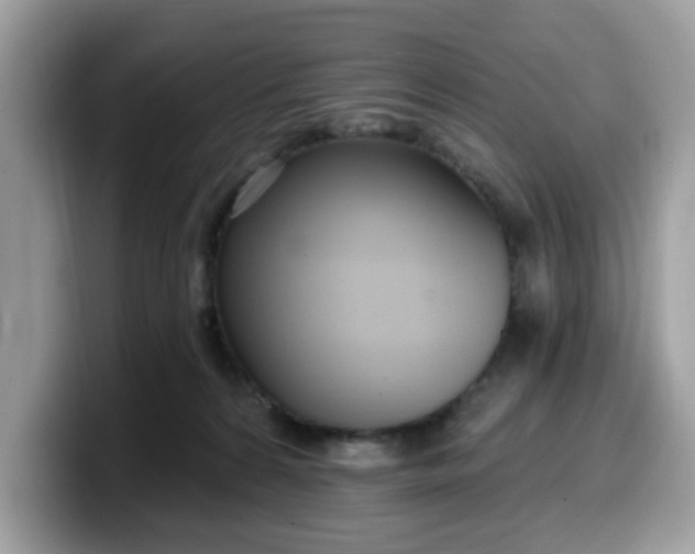 X0000099580224200805301605