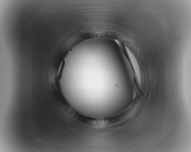 X0000099580225200805301605