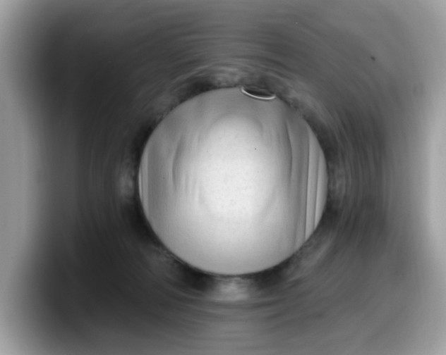 X0000099580226200805301605