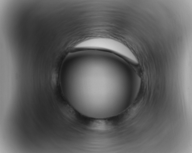 X0000099580227200805301605