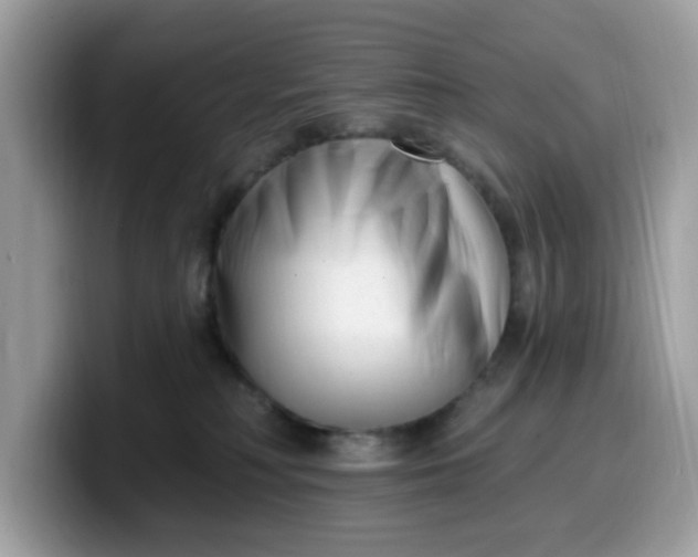 X0000099580230200805301605