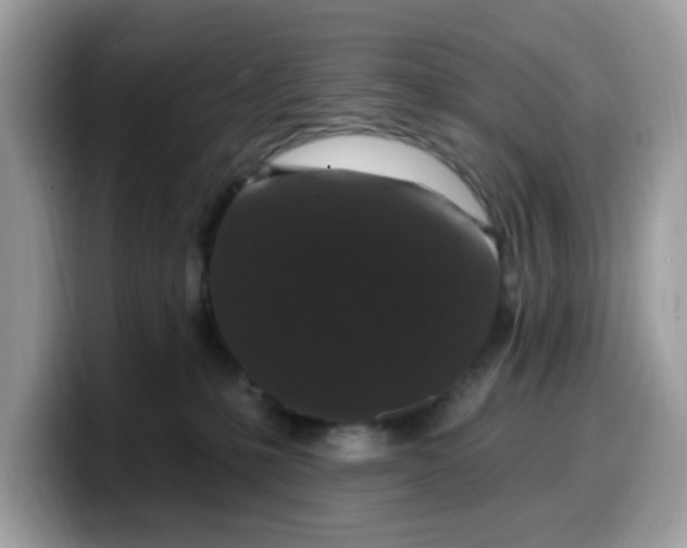 X0000099580231200805301605