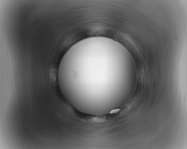 X0000099580232200805301605