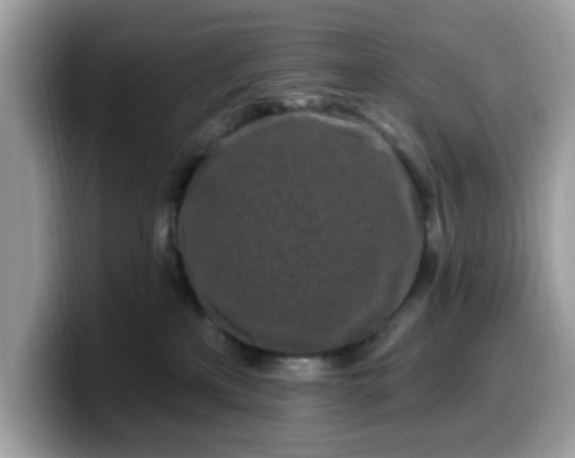 X0000099580233200805301605