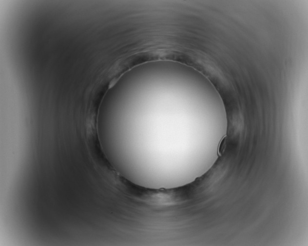 X0000099580236200805301605