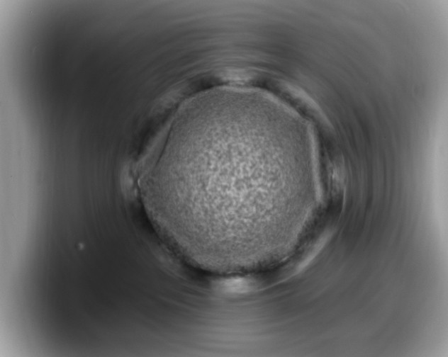 X0000099580237200805301605