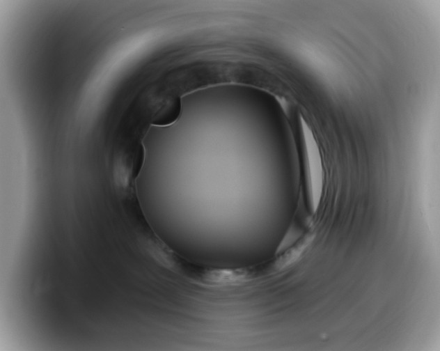 X0000099580239200805301605