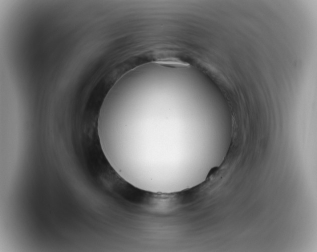 X0000099580240200805301605