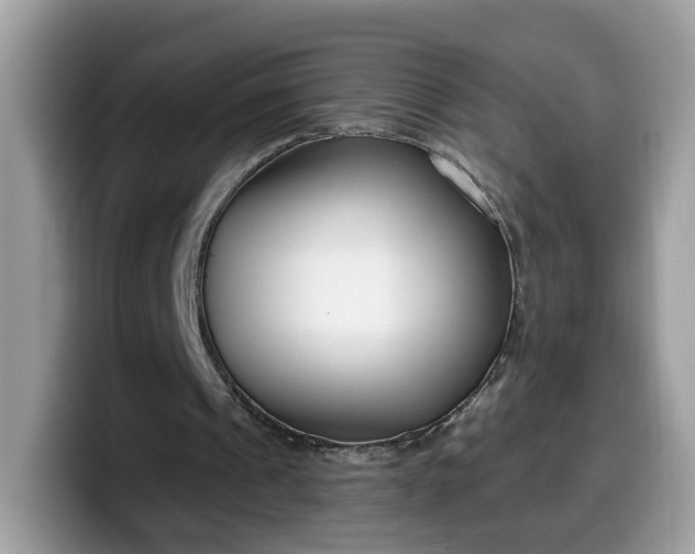 X0000099580241200805301605