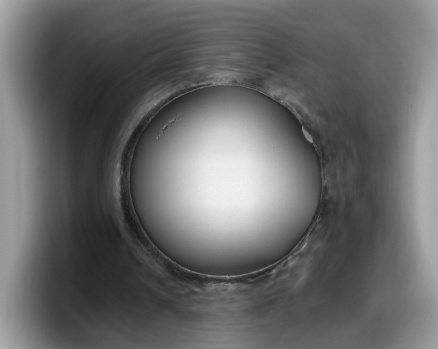 X0000099580242200805301605