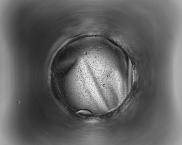 X0000099580243200805301605