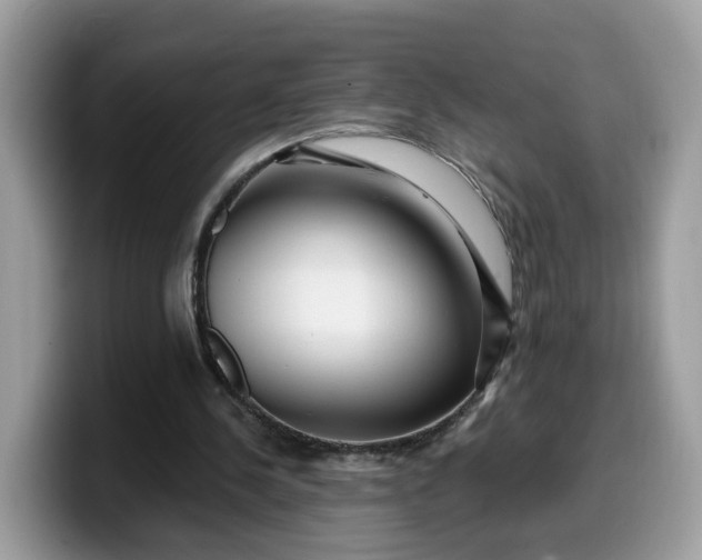 X0000099580244200805301605