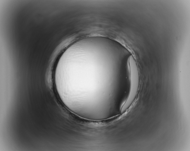 X0000099580245200805301605