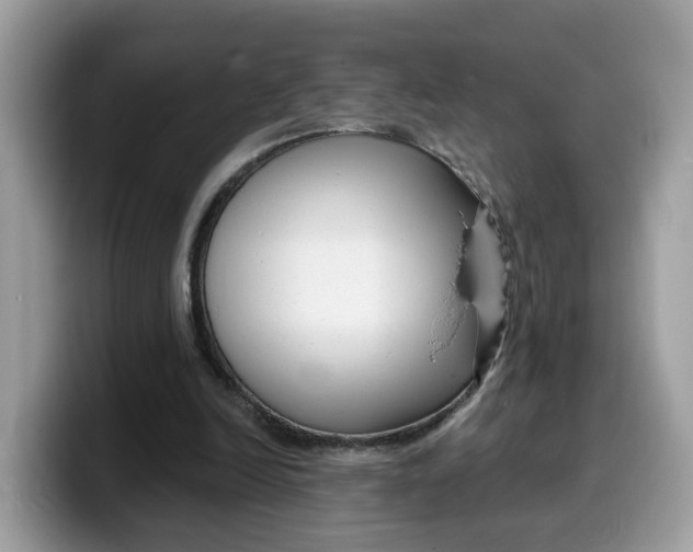 X0000099580246200805301605