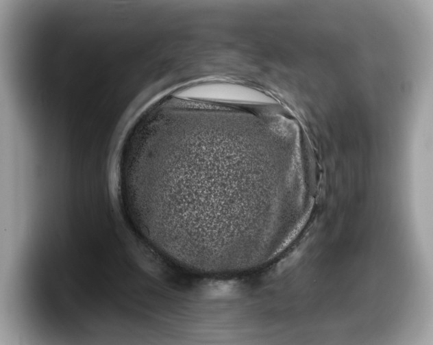 X0000099580247200805301605