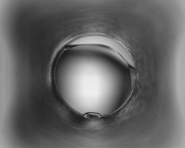 X0000099580248200805301605