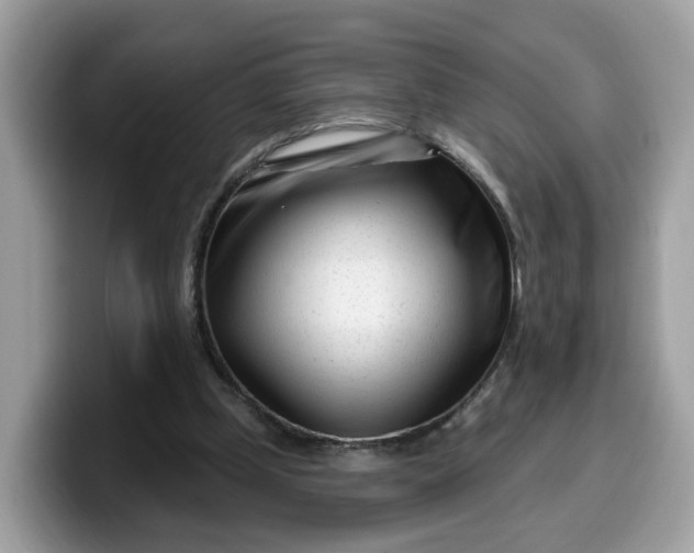 X0000099580249200805301605