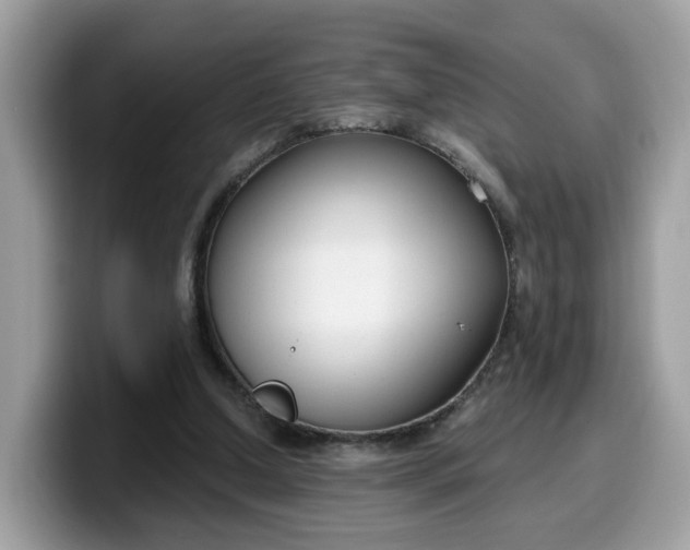 X0000099580250200805301605