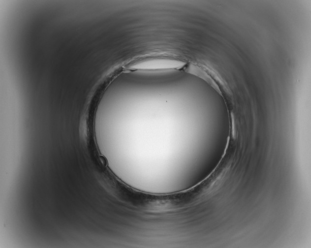 X0000099580252200805301605