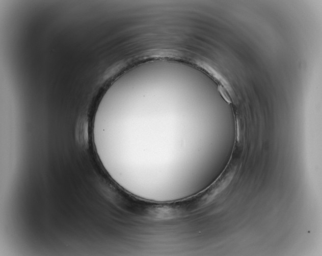 X0000099580253200805301605