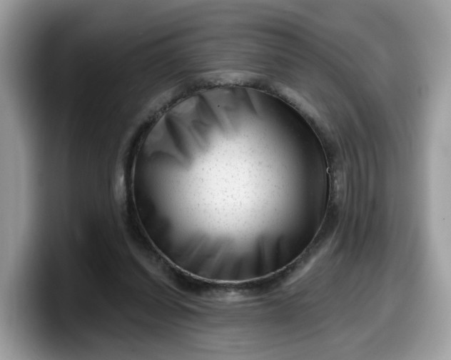 X0000099580254200805301605