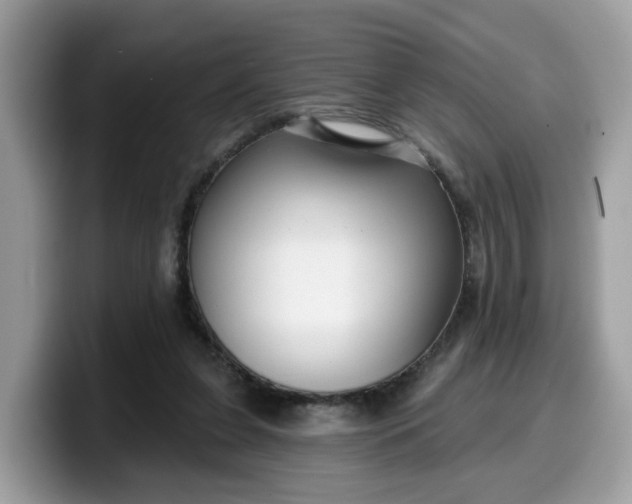 X0000099580255200805301605