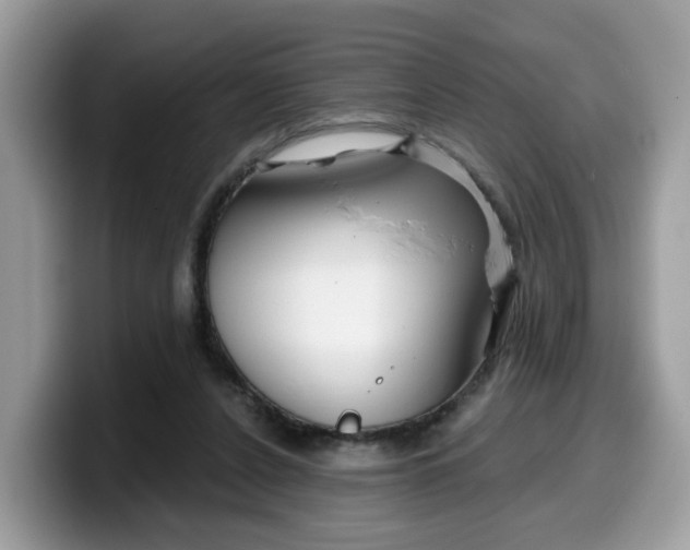 X0000099580256200805301605