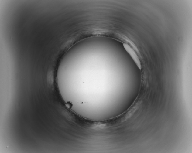 X0000099580257200805301605