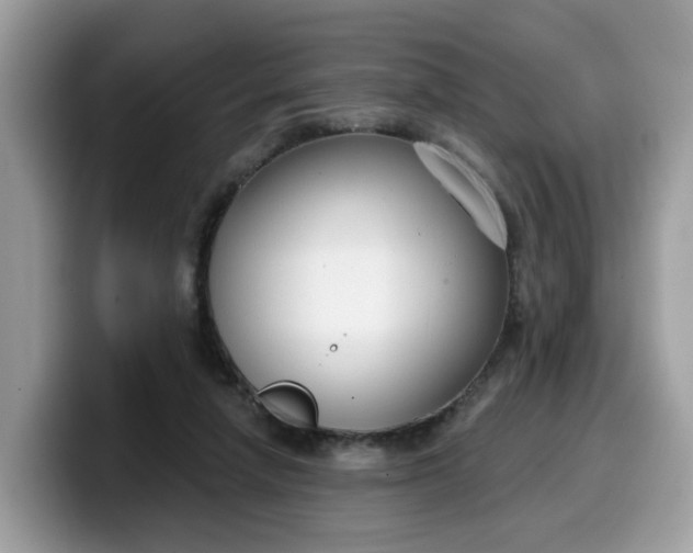 X0000099580258200805301605