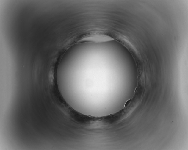 X0000099580259200805301605