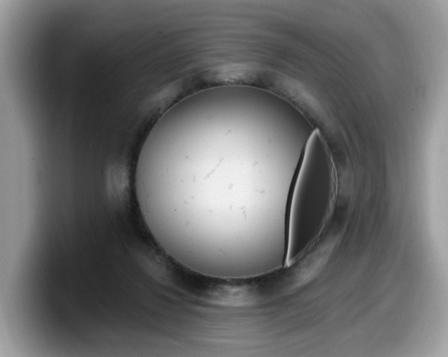 X0000099580260200805301605