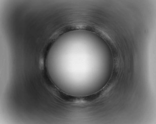 X0000099580262200805301605