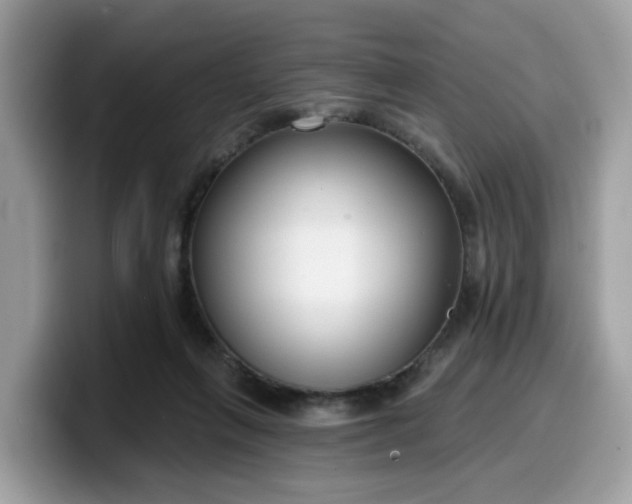 X0000099580263200805301605