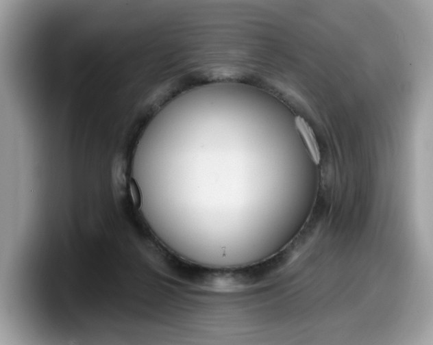 X0000099580264200805301605