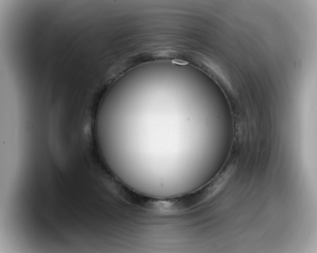 X0000099580265200805301605