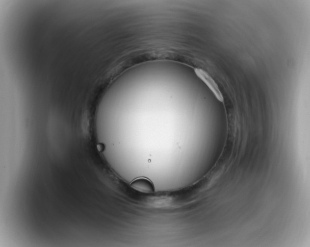 X0000099580266200805301605