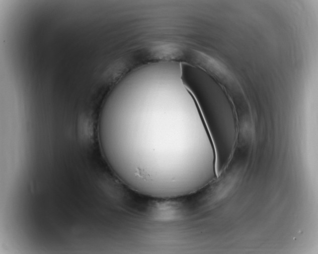 X0000099580268200805301605