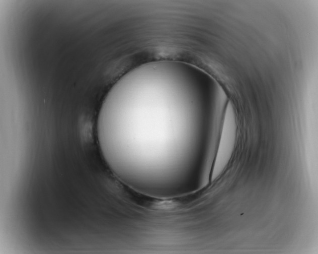 X0000099580269200805301605