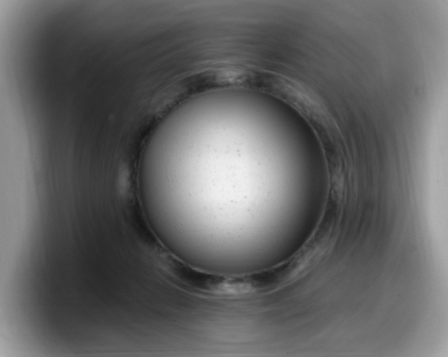 X0000099580270200805301605