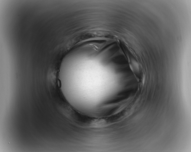 X0000099580271200805301605